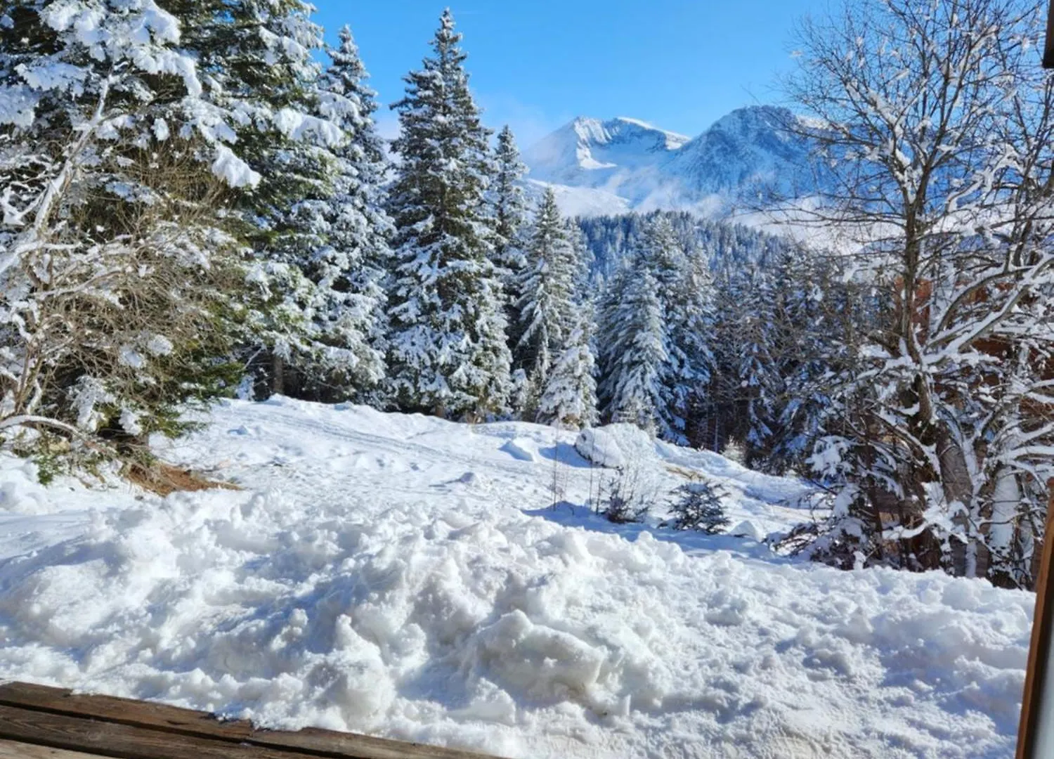 Appartement Cosy Les Meleze E Chamrousse 0*,