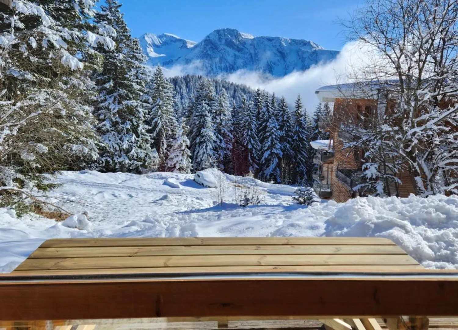 Appartement Cosy Les Meleze E Chamrousse France