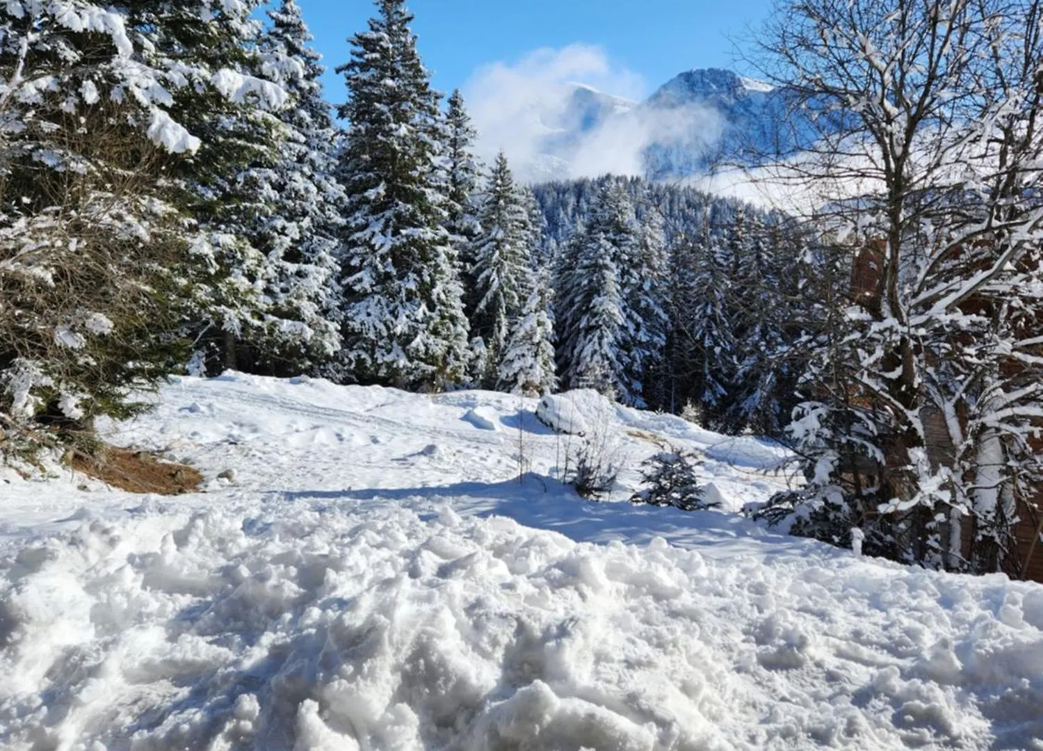 Appartement Cosy Les Meleze E Chamrousse